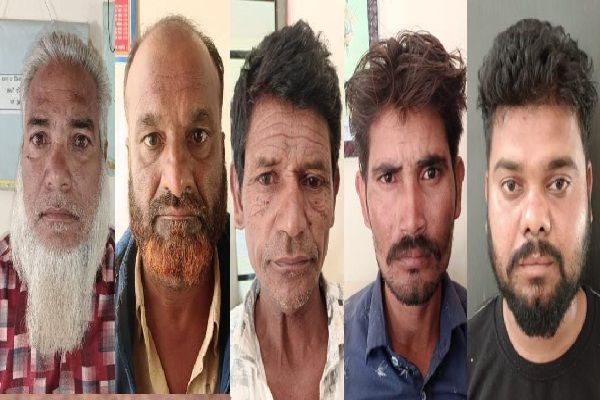  पांच गौ-तस्करों को बालोद पुलिस ने किया गिरफ्तार