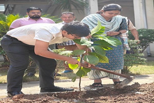 सीईओ जिला पंचायत ने विश्व पर्यावरण दिवस पर किया पौधरोपण