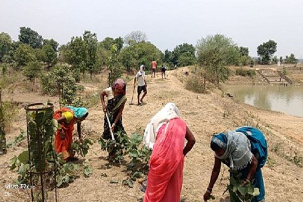 अमृत सरोवर स्थलों में पौध रोपण करके विश्व पर्यावरण दिवस मनाया गया