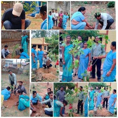 विश्व पर्यावरण दिवस पर किया गया पौधरोपण