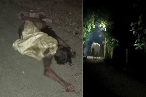 हाथी के हमले से एक ग्रामीण की मौत