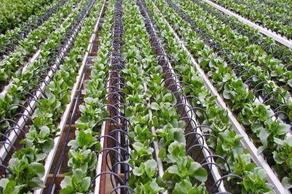 सरकार दे रही अलग अलग किसानों को अलग अलग तरह की सब्सिडी