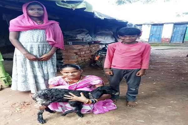 महतारी वंदन योजना जरूरतमंद महिलाओं की संजीवनी बनी