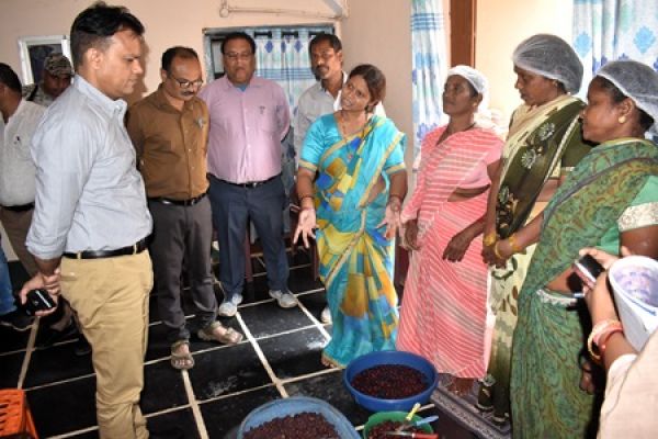 कलेक्टर ने दुधली में किया फसल गिरदावरी के कार्य का निरीक्षण