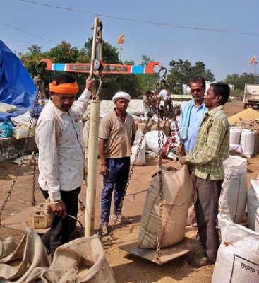 धान खरीदी 14 नवम्बर से, एकीकृत किसान पोर्टल में पंजीयन 31 अक्टूबर तक