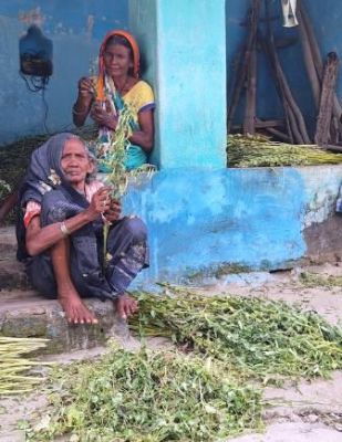 तब सौ रुपए भी नहीं जोड़ पाती थीं मेंघनीबाई, अब एक हजार पाकर खुश है....