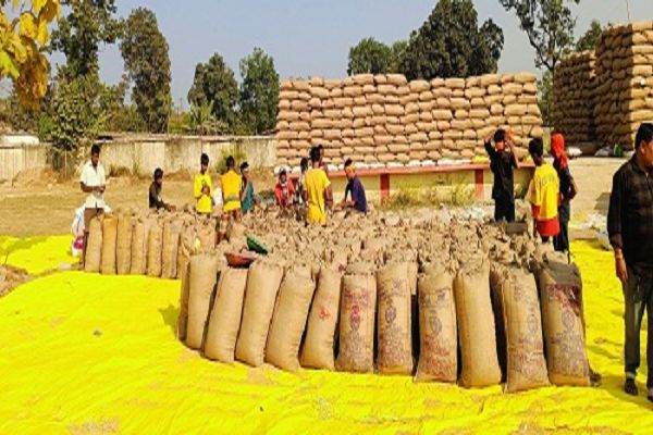 धान उठाव में कोरबा जिला प्रदेश में पहले स्थान पर