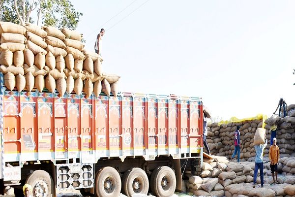  धान उठाव के लिए 29 राइस मिलो से अनुबंध, 5 मिलों से 14980 क्विन्टल धान का डी ओ जारी