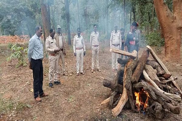घायल नीलगाय की मौत, वन विभाग ने किया अंतिम संस्कार
