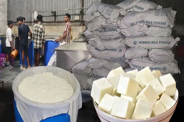 निमोरा में 4000 किलो नकली पनीर जब्त