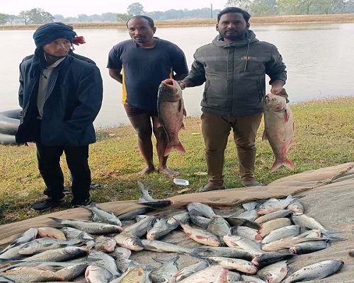 मत्स्य पालन ने बदली बसंत की जिंदगी, लाखों में हो रही कमाई