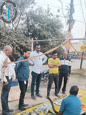  खुले में अवैध रूप से मांस मटन विक्रय करने वालो पर निगम की कर रही है कार्यवाही।