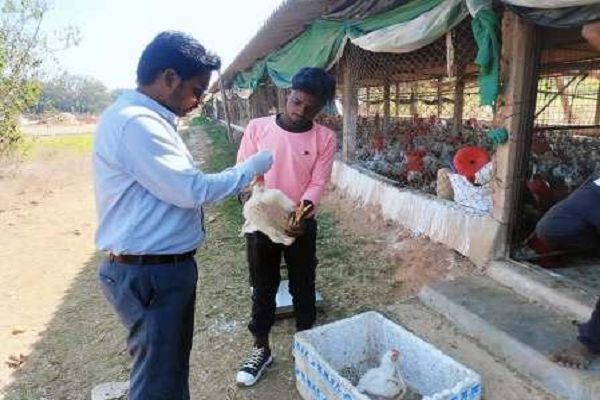 एवियन इन्फ्लूएंजा (बर्ड फ्लू) के लिए सतत निगरानी कार्य जारी