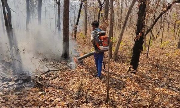 वनों को आग से बचाने की सूचना देने टोलफ्री नम्बर 18002337000 जारी