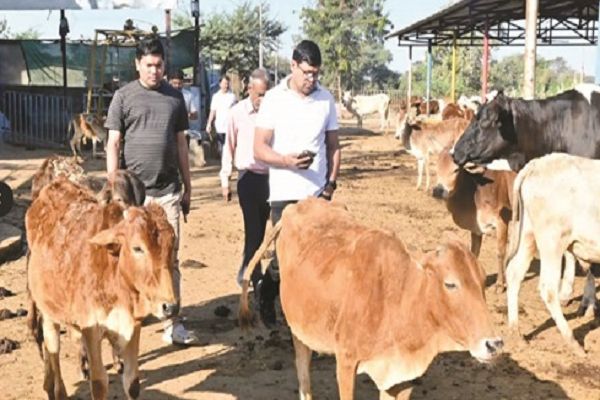 कांजी हाउस एवं संधारित सुलभ शौचालय का औचक निरीक्षण करने पहुंचे आयुक्त