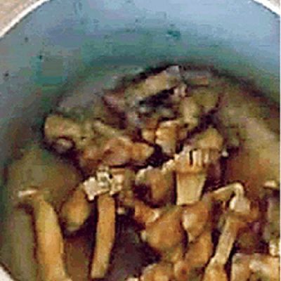 गोमांस का शक, रायपुर की डेयरी में पुलिस ने मारा छापा&hellip; संचालक समेत कर्मचारी फरार