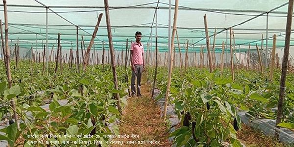 नारायणपुर की शानदार उपलब्धि, नीति आयोग ने दिया 10 करोड़ का पुरस्कार