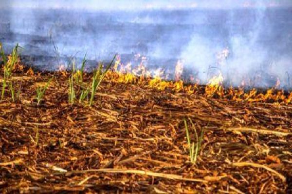 फसल अवशेष जलाने पर लगा प्रतिबंध : किसानों से सहयोग की अपील