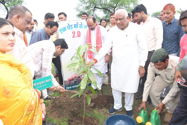 50 हजार आवास हितग्राहियों के परिसरों में लगाए गए 1 लाख से अधिक पौधे गोल्डन बुक ऑफ वर्ल्ड रिकॉर्ड में किया गया दर्ज