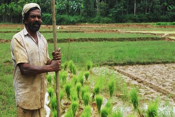 खाद आपूर्ति को लेकर जिले में नहीं कोई समस्या, समिति से किसानों को मिल रहा पर्याप्त खाद
