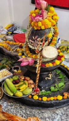 दुग्ध अभिषेक,जलाभिषेक हुआ सोमेश्वर महादेव का