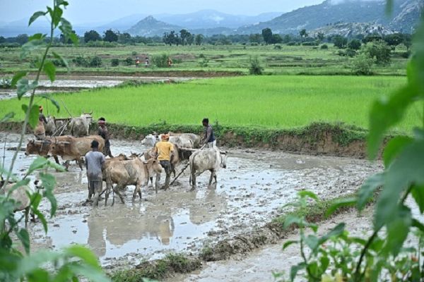 किसान भाईयों की खेती ने पकड़ी रफ्तार