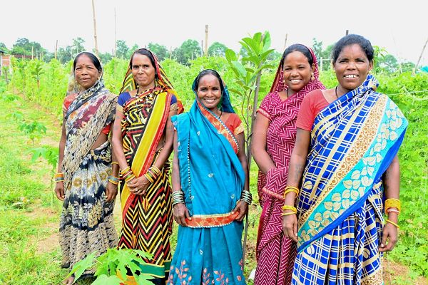 कमार दीदियों की ज़िंदगी में बिहान से जुड़कर आई खुशहाली