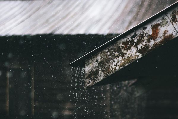 रायपुर : प्रदेश में अब तक 971.5 मि.मी. औसत वर्षा दर्ज