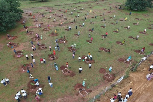 फलदार वृक्षों से बदली जिंदगी : सुरेश चन्द्र बने गांव के लिए प्रेरणा स्रोत