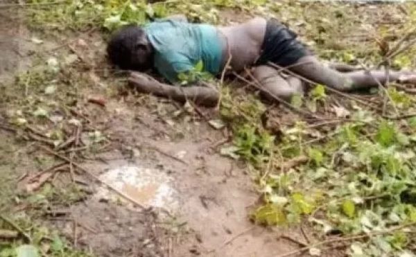 दंतैल हाथी ने ग्रामीण को सूंड से पटका, मौत