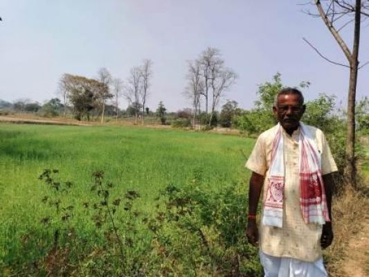 गेहूं की फसल कम लागत में किसानों को ज्यादा मुनाफा