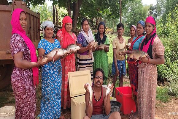 मछली पालन आय का उत्तम साधन