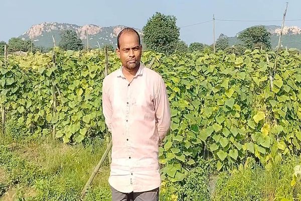  बरबट्टी और खीरा की खेती से आत्मनिर्भर बने बाह्मनपाली के किसान श्री राज कुमार साहू
