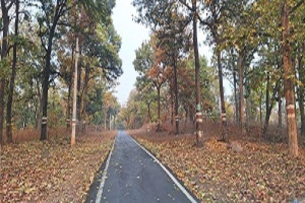 कोरबा की सड़क यात्रा गांवों को जोड़ा विकास से, सड़कों ने लिखी प्रगति की नई गाथा