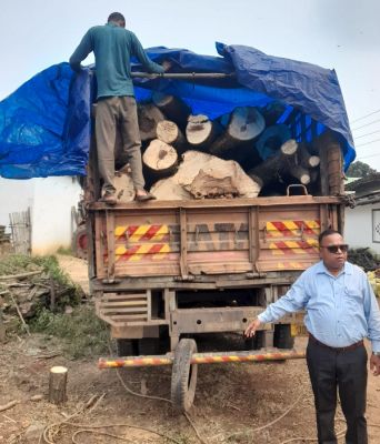 डौंडी क्षेत्र में अवैध लकड़ी कटाई और तस्करी का बड़ा खुलासा