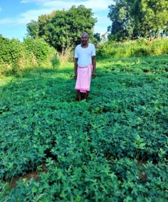 सौर सुजला योजना से सिंचाई सुविधा में हो रहा विस्तार