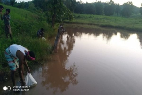 जल संरक्षण से बदली बैगा बाहुल्य ग्राम इन्द्रिपानी की तस्वीर