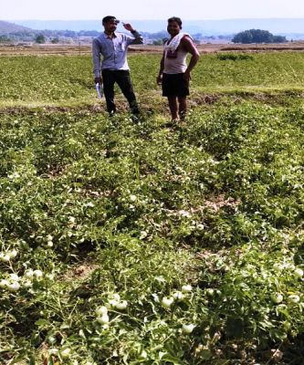 उन्नत विधि का लाभ मिल रहा किसानों को