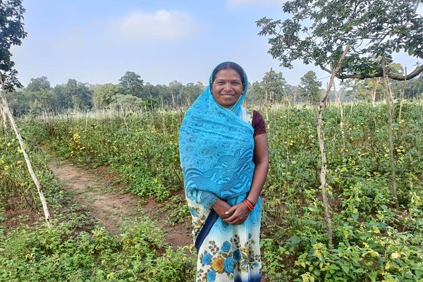 छत्तीसगढ की टमाटर &lsquo;महाराष्ट्र की रसोई&rsquo; तक पहुंची