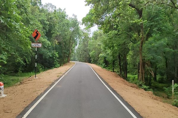 राज्योत्सव पर विशेष लेख : छत्तीसगढ़ में गांव-गांव बिछा सड़कों का जाल
