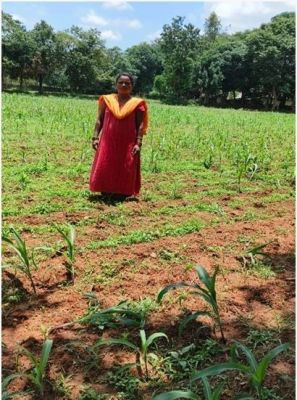 लखपति दीदी योजना से महिलाओं ने गढ़ी स्वरोजगार से आत्मनिर्भरता की नई मिसाल