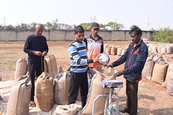 जिले में धान की खरीदी उत्सव के लिए किसानों में उत्साह एवं खुशी