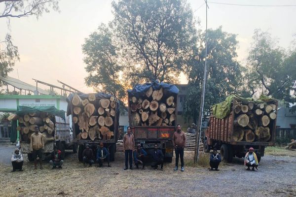 प्रतिबंधित काष्ठों का अवैध परिवहन पकड़ा गया, वन विभाग ने की जप्ती