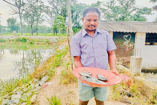  डबरी बनी खुशहाली की राह : किसान हिरमाराम की आमदनी हुई दोगुनी, सालाना बढ़ी एक लाख रुपये तक