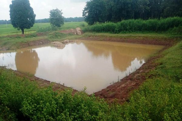 डबरी निर्माण से ग्रामीण आजीविका को मिल रही नई दिशा