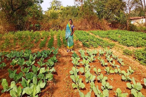 राष्ट्रीय ग्रामीण आजीविका मिशन &lsquo;बिहान&rsquo; से बदली तकदीर, आत्मनिर्भरता की बनी मिसाल
