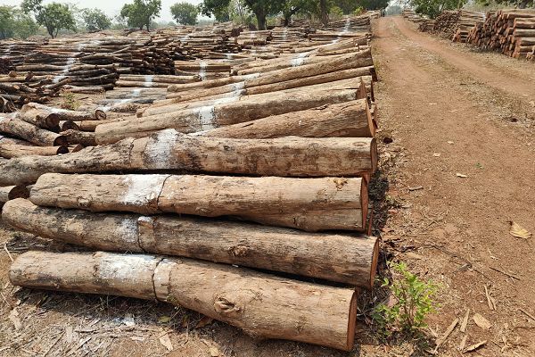  ई-नीलाम: पारदर्शिता और राजस्व वृद्धि की दिशा में एक सकारात्मक पहल