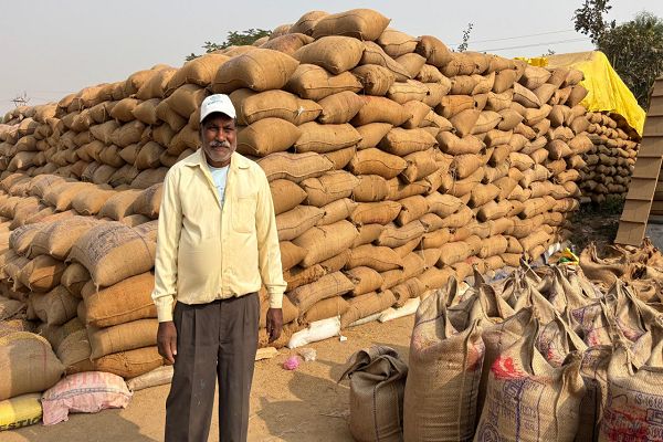  धान की बेहतर कीमत ने बढ़ाया किसान युगल का हौसला