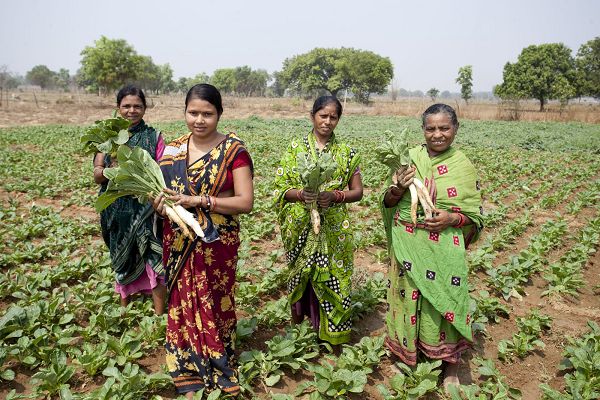 किसान दिवस पर 20,000 से ज्यादा किसानों को बनाया सशक्त