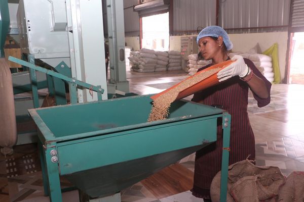  विशेष लेख : सशक्त मानसिकता से आत्मनिर्भरता की ओर- पोषण निर्माण में अहम भूमिका निभा रही हैं सूरजपुर की महिलाएं  